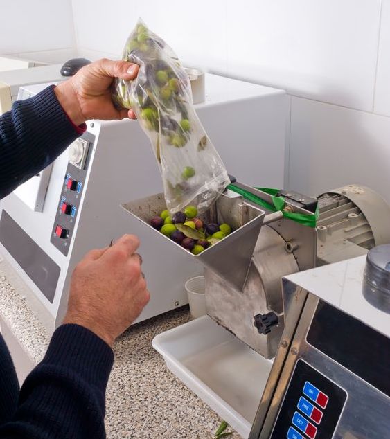 Production of extra virgin olive oil