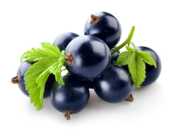 Blackcurrant Dark Balsamic Vinegar