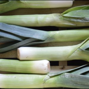 Whole Herb Leek Fused Olive Oil